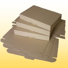 1 Palette mit 2200 Stück Maxibrief Karton 350 mm x 250 mm x 50 mm, weiss 1 Palette mit 2200 Stück Maxibrief Karton 350 mm x 250 mm x 50 mm, weiss